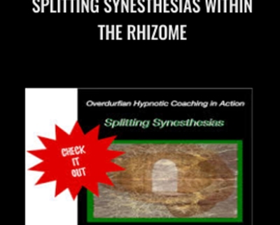 Splitting Synesthesias within the Rhizome – John Overdurf