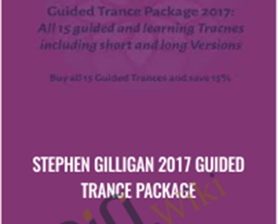 Stephen Gilligan 2017 Guided Trance Package – Stephen Gilligan