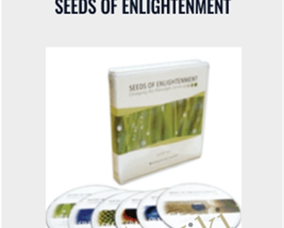 Seeds of Enlightenment – Jeddah Mali