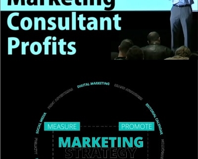 Marketing Consultant Profits – Talor Zamir