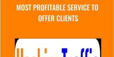 The Single Most Profitable Service To Offer Clients – Hacking Traffic
