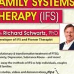 Richard C. Schwartz – Internal Family Systems Therapy (IFS): 2-Day Experiential Workshop