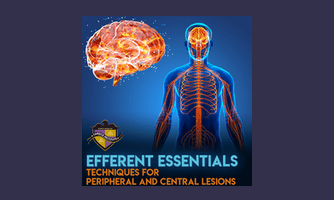 530) Efferent Essentials – Techniques for Peripheral and Central Lesions By Carrick Institute