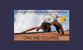 Environmental Movement Practice Course By Marcello Palozzo